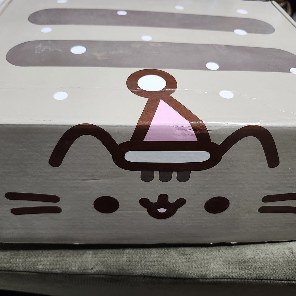 Culturefly Pusheen Box, Winter 2018
